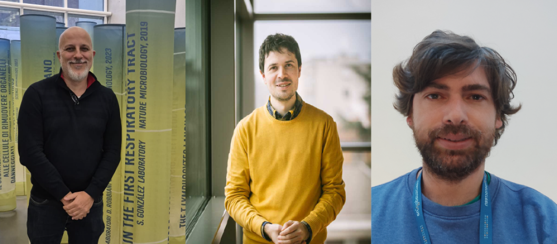 3 authors web site